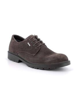 Zapatillas Igi&Co Scamosc Special Hombre Marrón