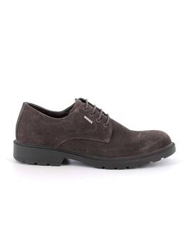 Zapatillas Igi&Co Scamosc Special Hombre Marrón