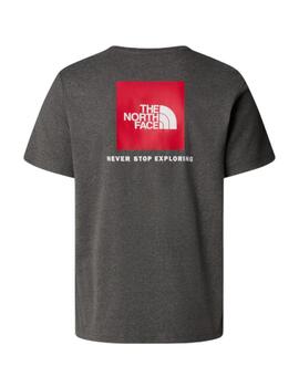 Camiseta TNF Redbox Gris