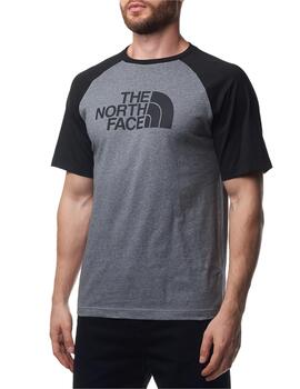 Camiseta TNF Raglan Easy Gris