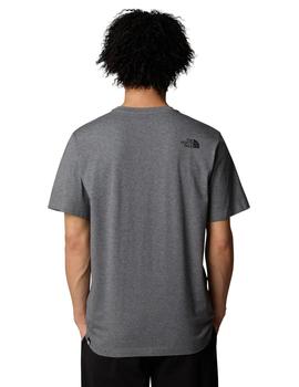 Camiseta The North Face Easy Hombre Gris